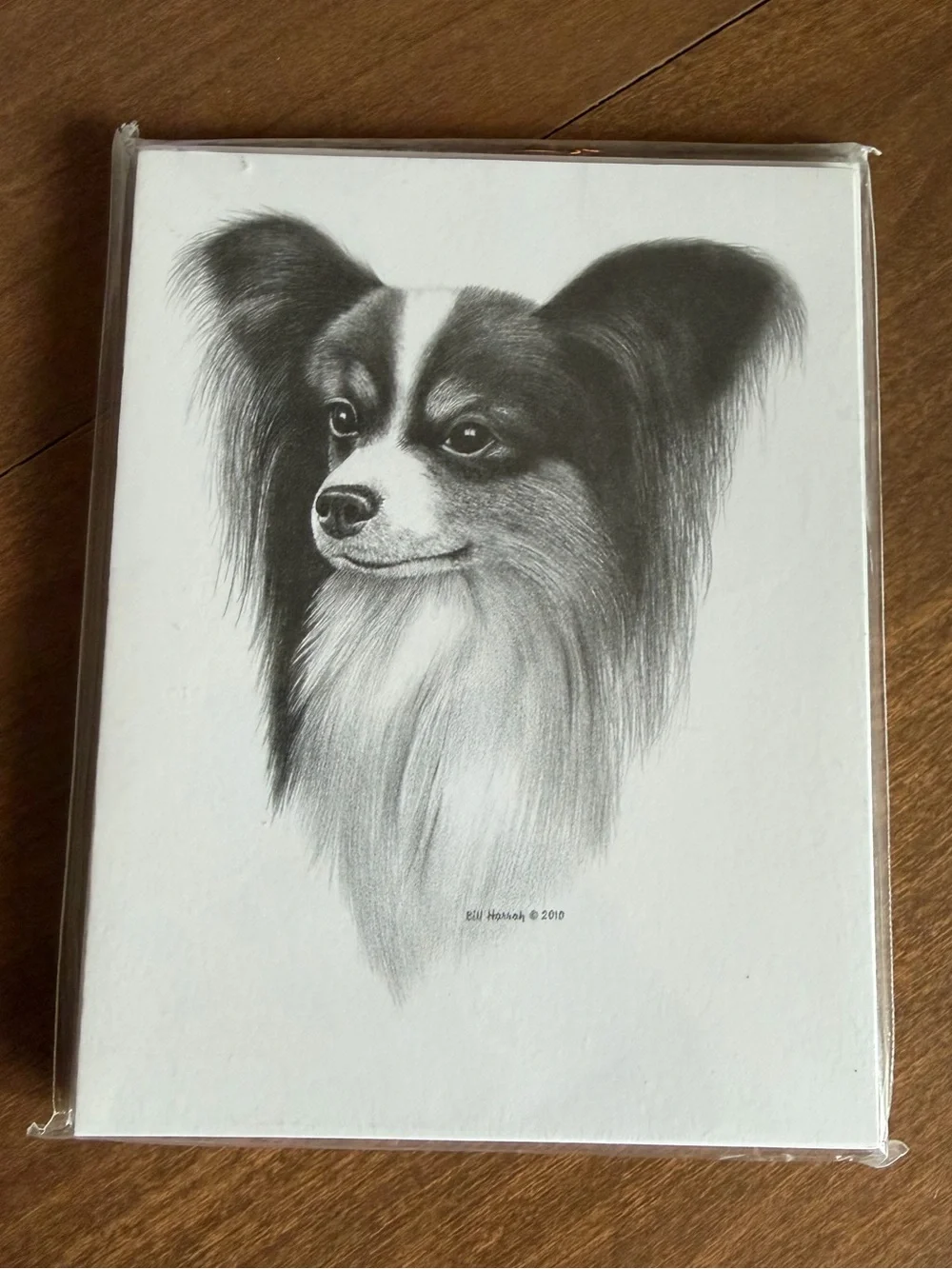 Papillon Dog Note Cards (8) Fine Art Drawing - Bill Harrah 2010